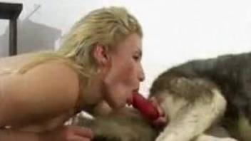 Latina ladies taking turns with delicious dog cocks