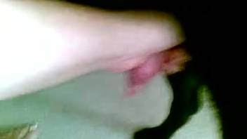 Ebony canine receives a pleasurable manual stimulation in a point-of-view animal sex film