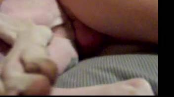 Man ravages his female dog without mercy until he ejaculates intensely