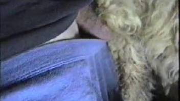 Guy pounding a snug beastly orifice with his shaft.