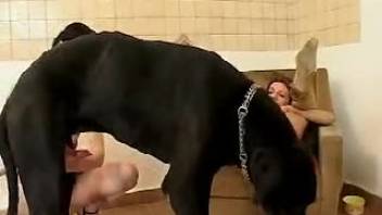 Novice whores enjoy sharing a massive canine dick on webcam