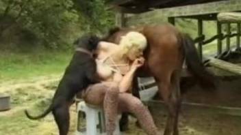 Busty blonde wife in insane zoo cam scenes in the back yard