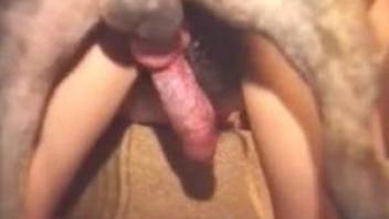 Crazy animal porn orgy caught on cam along horny amateurs