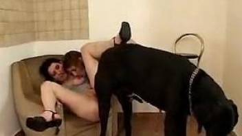 Lesbians fucks by the dog in wild fantasy zoophilia
