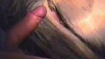 Guy's hard penis gets to penetrate a good-looking hole