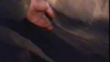 Lustful guy savagely penetrates aroused mare's pussy