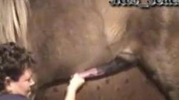 Mature jerks off the horse's cock in advance to get fucked