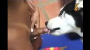 Busty Latina beauty gets intimate with a dog