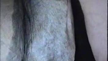 Intense horse anal insertion shown in detailed close-up bestiality sequences