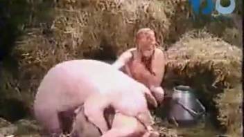 Seductive women try hard sex with a pig their size