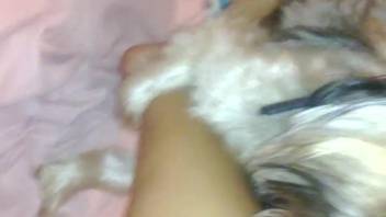 Steamy beast screwing a babe's alluring thigh on video