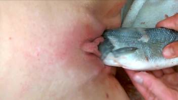Horny babe with a smooth pussy gets fucked by a fish