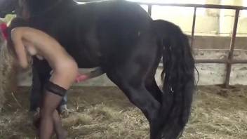 Stockings-wearing brunette is ready to take a horse cock