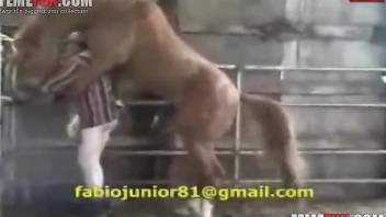 Horse penis penetrating a dude's tight butt from behind