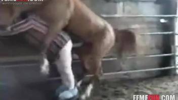 Stallion's dick thrusting into a guy's narrow rear end doggystyle