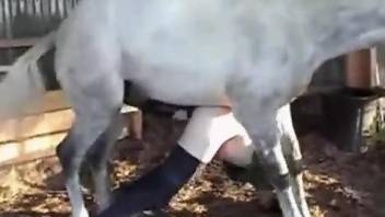 Brutal bestiality anal with a phat booty dude