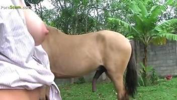 Two good-looking babes sharing a stallion cock