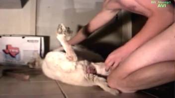 Bare dude roughly bangs his animal buddy