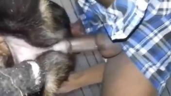 Dude fucking a dog's tight pussy from behind