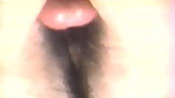 Wet female horse vagina being hammered by a nude beastiality enthusiast