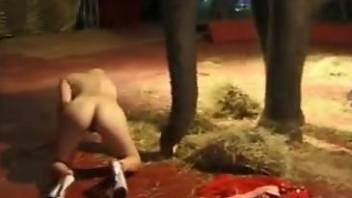 Nude blonde loves the elephant for a few zoo XXX moments