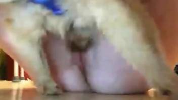 Fucking on a floor with a really horny doggo