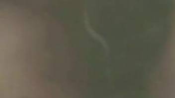 Zoomed in fucking with a really dirty animal