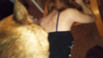 Overflowing zoophile pussy getting fucked by a dog