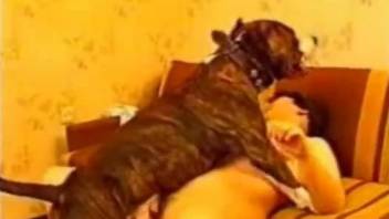 Busty mature feels amazing with the dog fucking her hard