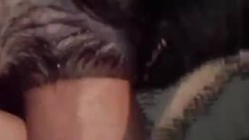 Guy shoves his thick cock into the dog's rear to pound it