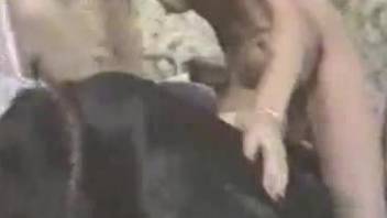 Rough pussy action with a dog for this energized MILF