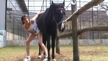 Slutty brunette drinks horse sperm after a wild zoo fuck