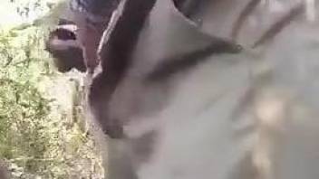 Brazen zoophile happily fucking a dog's pussy