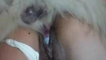 Brown animal licking a hoe's pussy and fucking it too