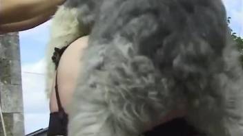 Dog enjoys a threesome fuck scene with hot orgasms
