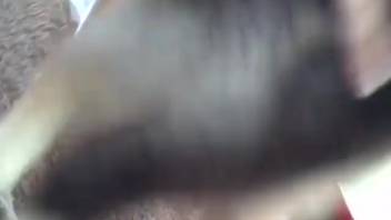 Busty woman gets on hands and knees to fuck a filthy mutt