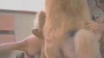 Dog fucks two horny lesbians and cums on their asses