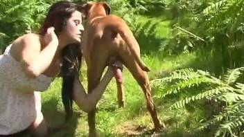 Dark-haired gal sloppily sucking all over that dog dong