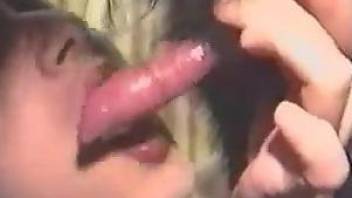 Aroused female shares great views when sucking a dog dick