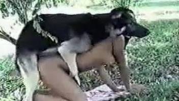 Aroused women seen fucked by dogs and jizzed in crazy modes