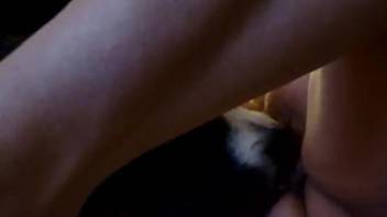 Slender lady enjoys the sensation of canine penis in her tight pussy