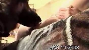 Naked spouse delights in amateur bestiality video featuring the canine in messy positions