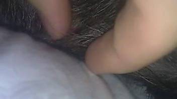 Hairy cock dude enjoying a POV blowjob from a dog