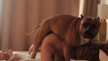 Skinny blonde teases with her body and then fucks a dog