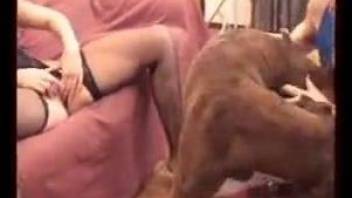 Lesbian sluts are using the dog for their own sexual pleasures