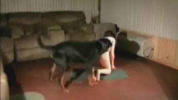 Hot booty novice chick filmed while stuffing plenty of cock into her sweet pussy
