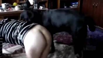 Ginger-haired hottie with a firm booty screwing a freaky canine