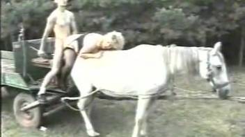 Aroused pair employs a horse to fulfill their erotic desires