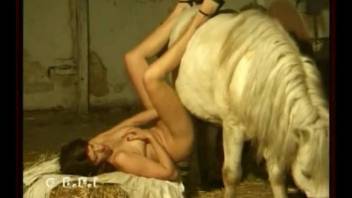 Stunning babe licks her own feet before fucking a pony