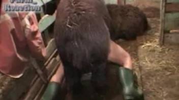 Sexy farm animal fucking a tight zoophile hole here